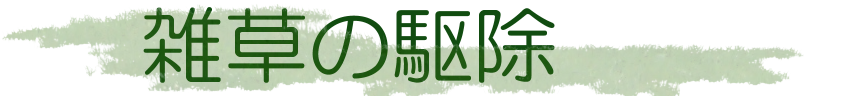 ポータルサイト